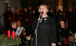 IMG_9500 (2)